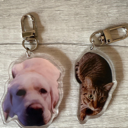 Custom Cat Keychain, Pet Portrait Keychain
